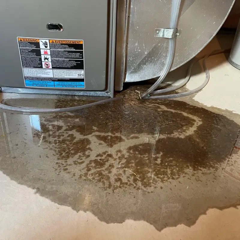 Appliance Leak Cleanup in Belle Isle, FL